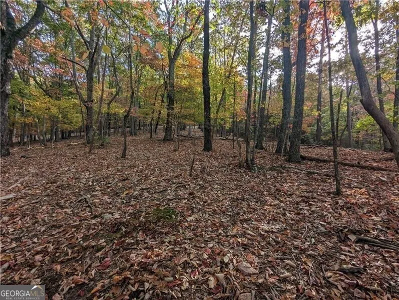 0 Oglethorpe Mountain RD Jasper, GA 30143