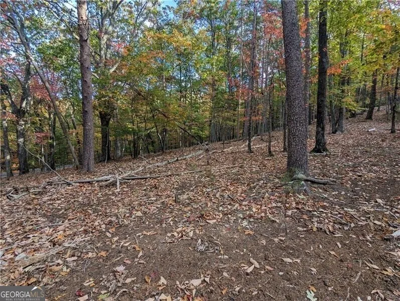 0 Oglethorpe Mountain RD Jasper, GA 30143