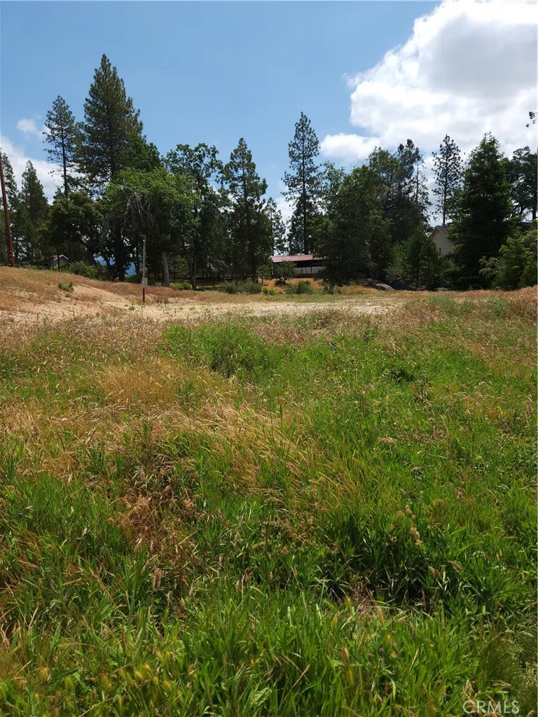 52830 Pine Drive Oakhurst, CA 93644