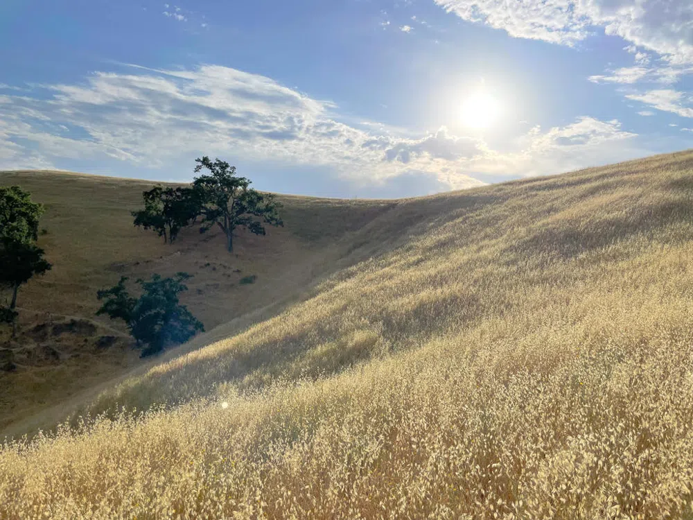 Hwy 41 Templeton, CA 93465