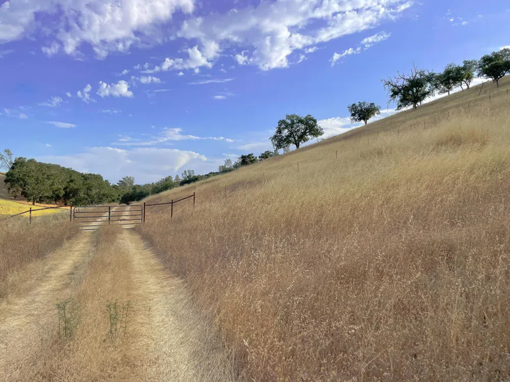 Hwy 41 Templeton, CA 93465