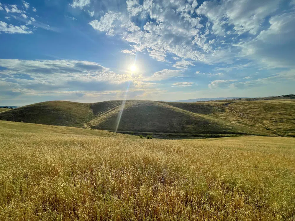 Hwy 41 Templeton, CA 93465