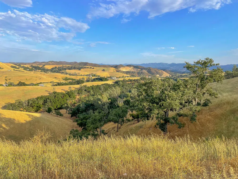 Hwy 41 Templeton, CA 93465
