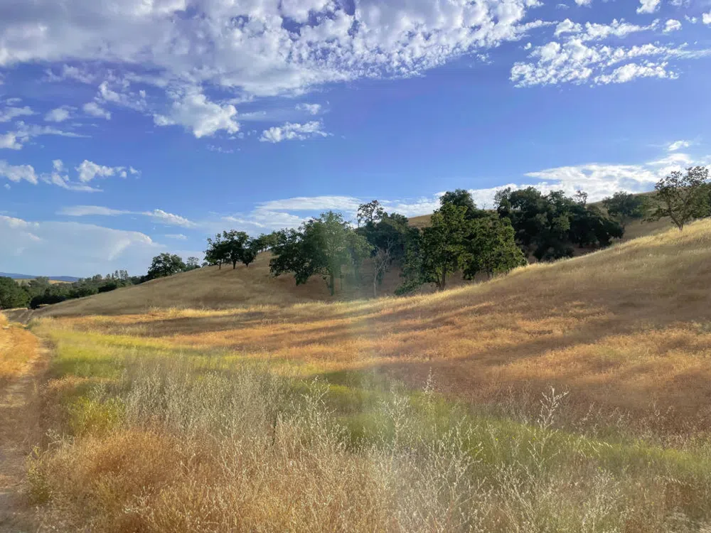 Hwy 41 Templeton, CA 93465