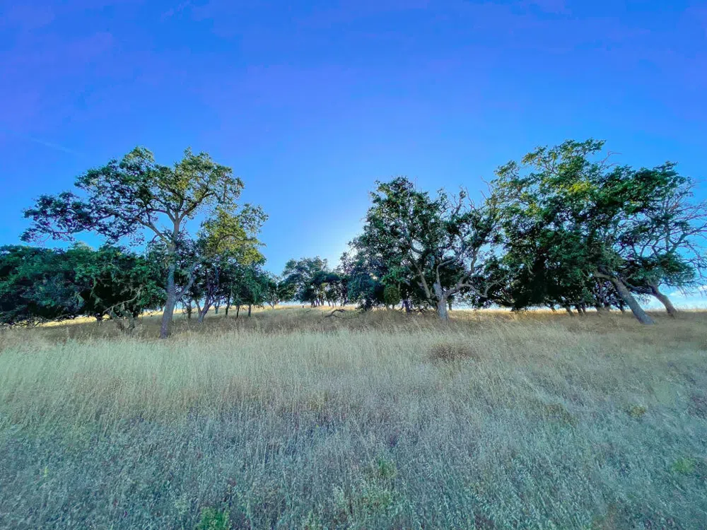 Hwy 41 Templeton, CA 93465