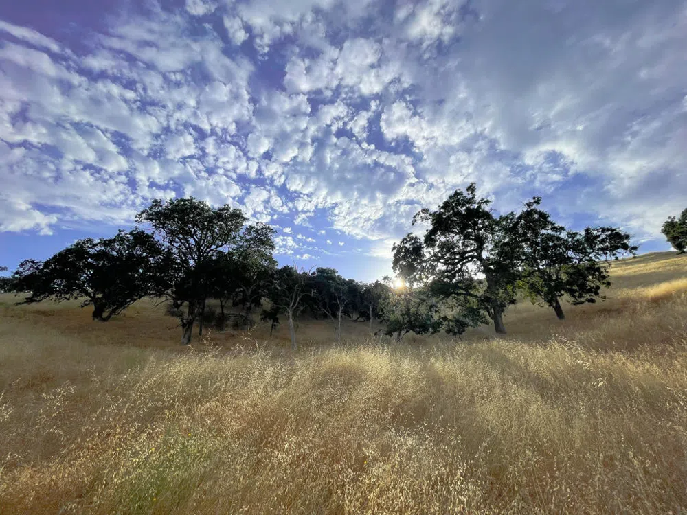 Hwy 41 Templeton, CA 93465