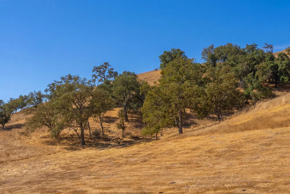 Hwy 41 Templeton, CA 93465