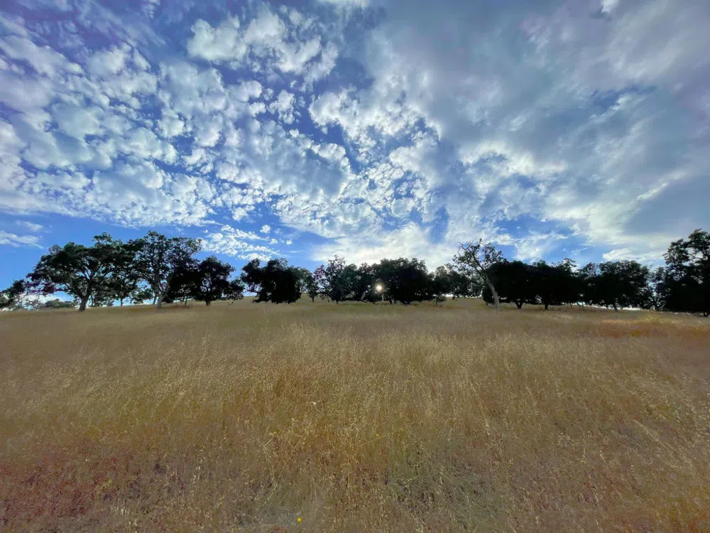 Hwy 41 Templeton, CA 93465