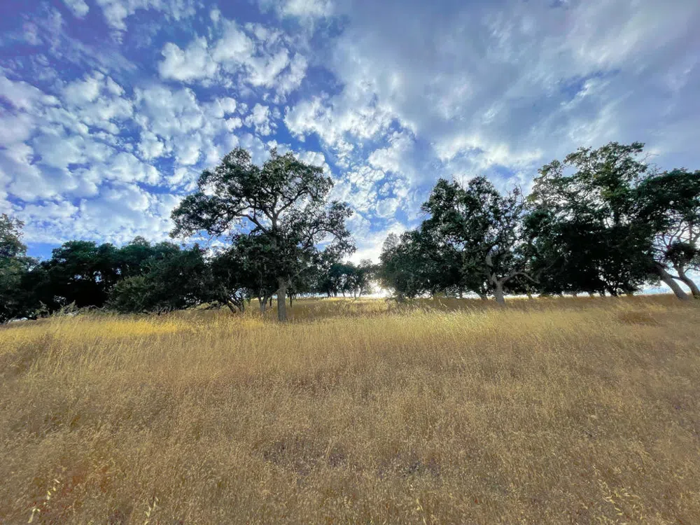Hwy 41 Templeton, CA 93465