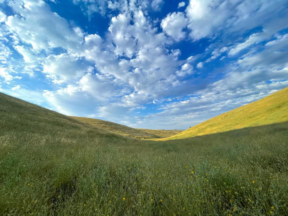 Hwy 41 Templeton, CA 93465