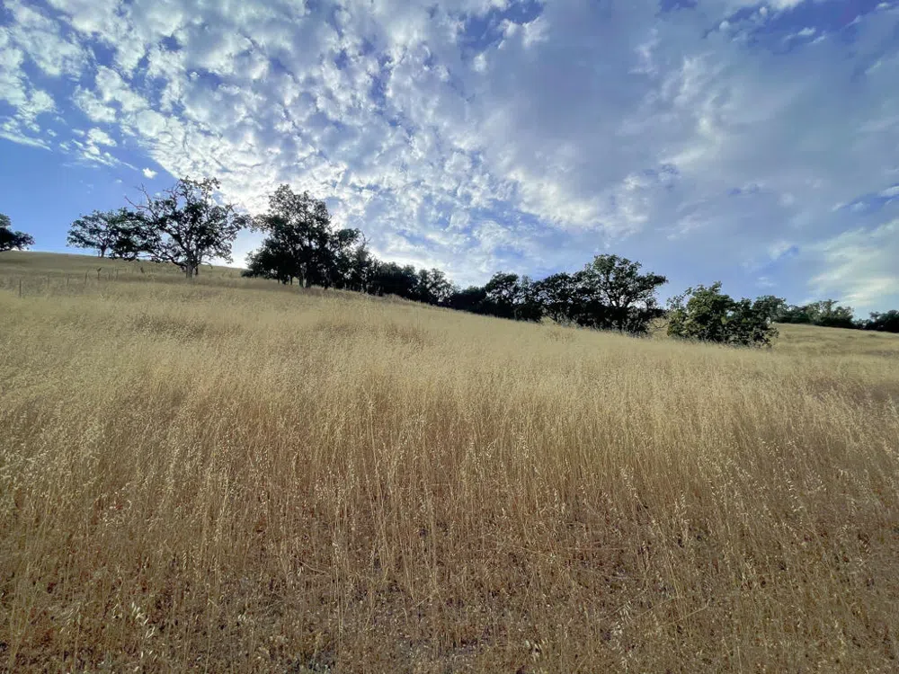 Hwy 41 Templeton, CA 93465