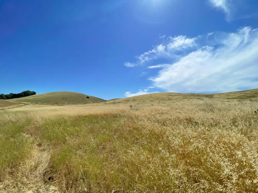 Hwy 41 Templeton, CA 93465