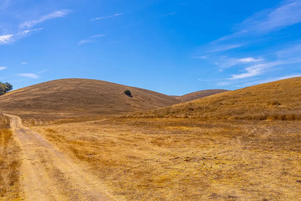 Hwy 41 Templeton, CA 93465