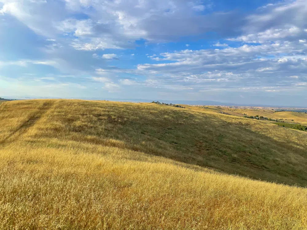 Hwy 41 Templeton, CA 93465
