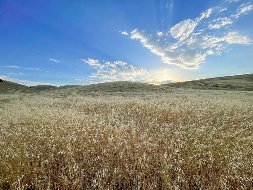 Hwy 41 Templeton, CA 93465