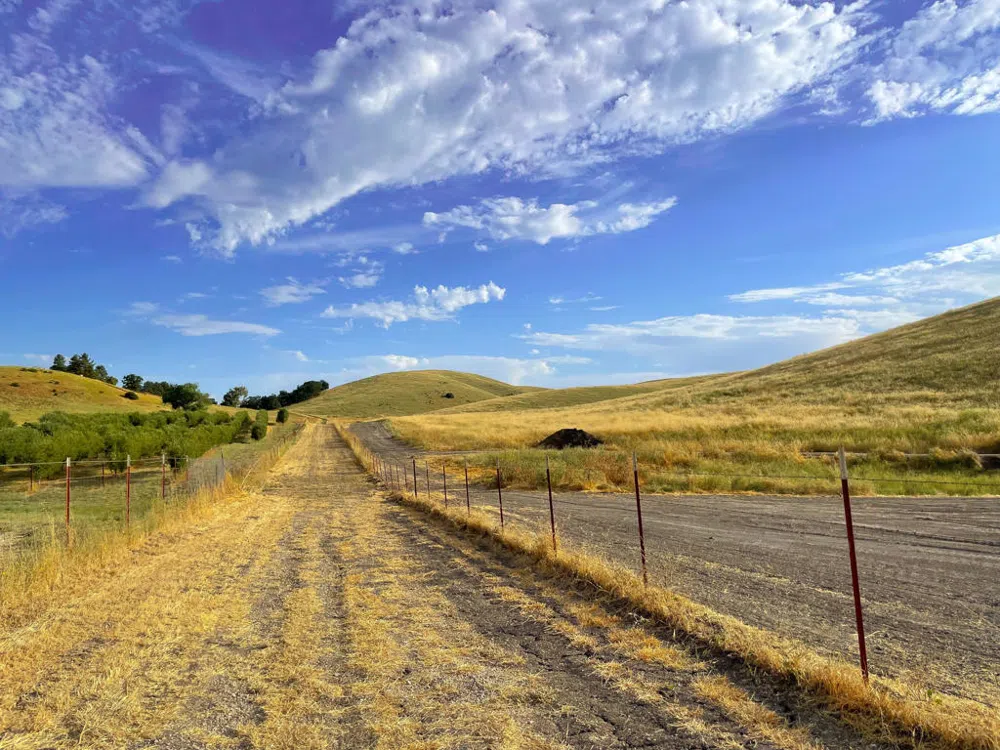 Hwy 41 Templeton, CA 93465