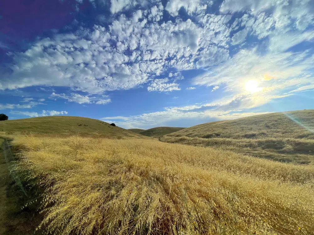 Hwy 41 Templeton, CA 93465