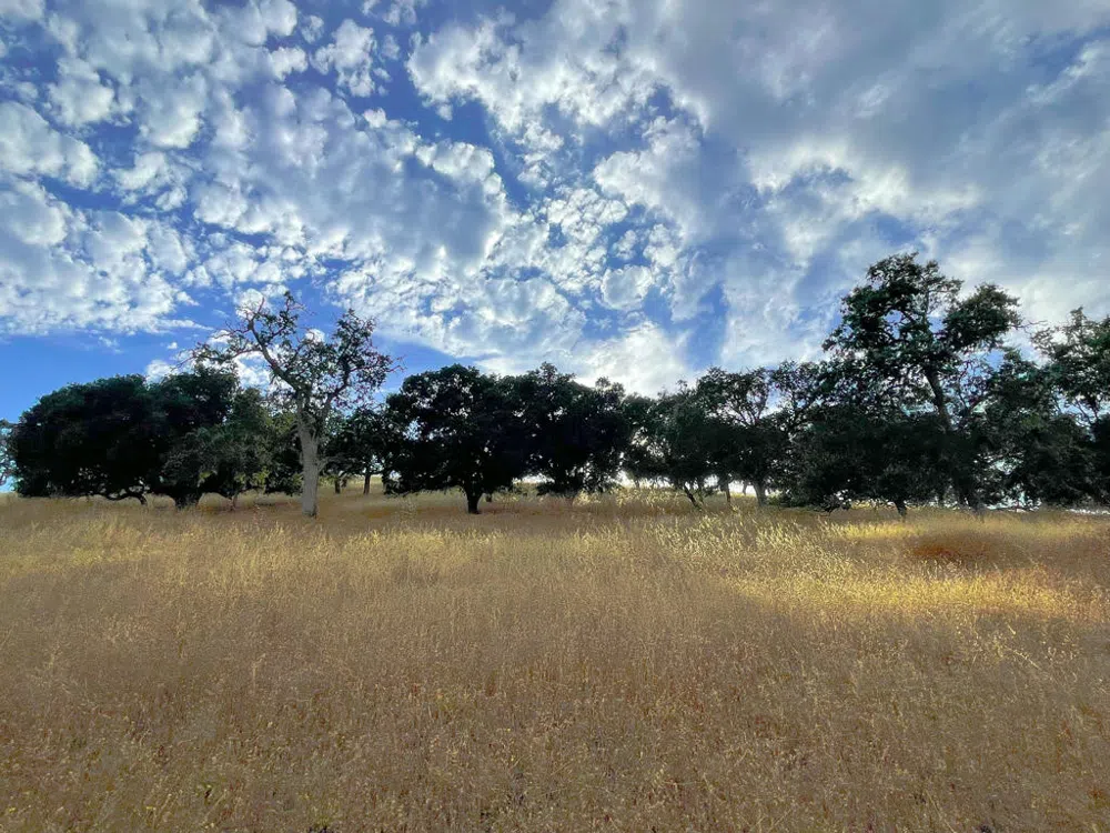 Hwy 41 Templeton, CA 93465