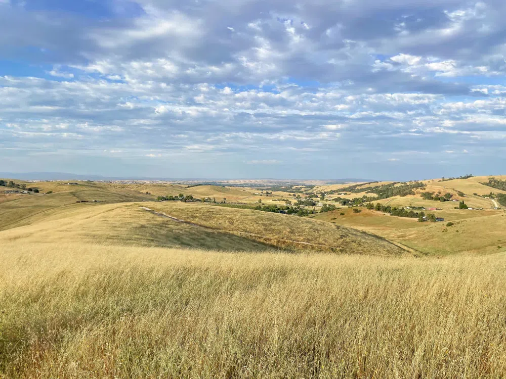 Hwy 41 Templeton, CA 93465