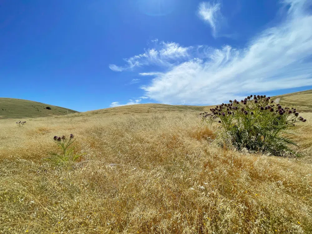 Hwy 41 Templeton, CA 93465