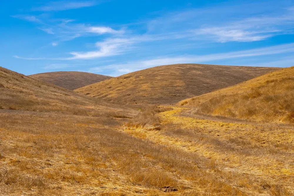 Hwy 41 Templeton, CA 93465