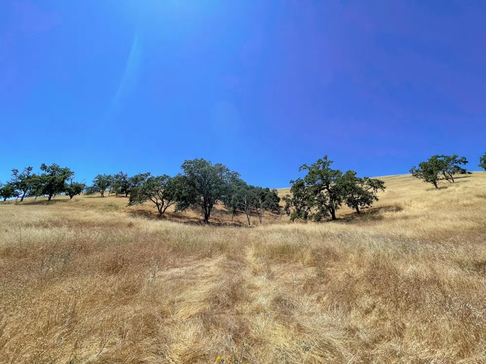 Hwy 41 Templeton, CA 93465