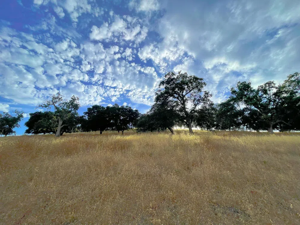 Hwy 41 Templeton, CA 93465
