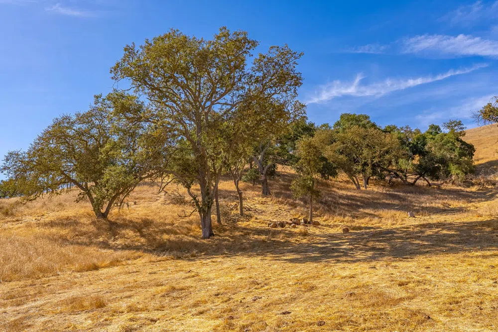 Hwy 41 Templeton, CA 93465