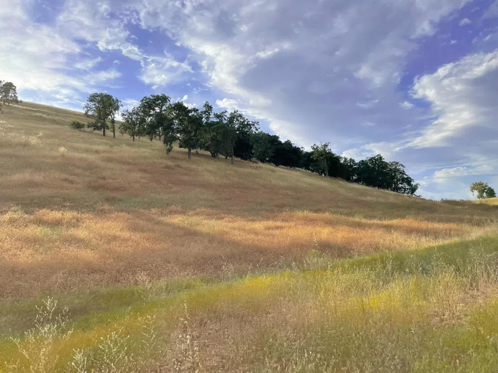 Hwy 41 Templeton, CA 93465