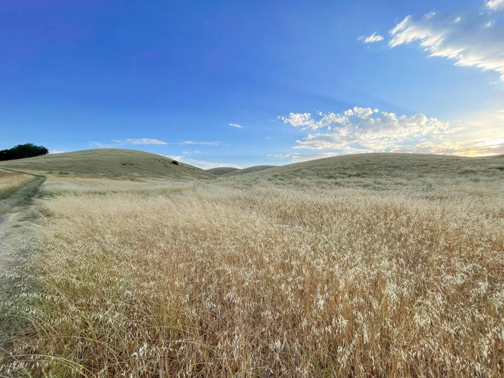 Hwy 41 Templeton, CA 93465