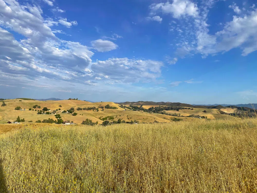 Hwy 41 Templeton, CA 93465