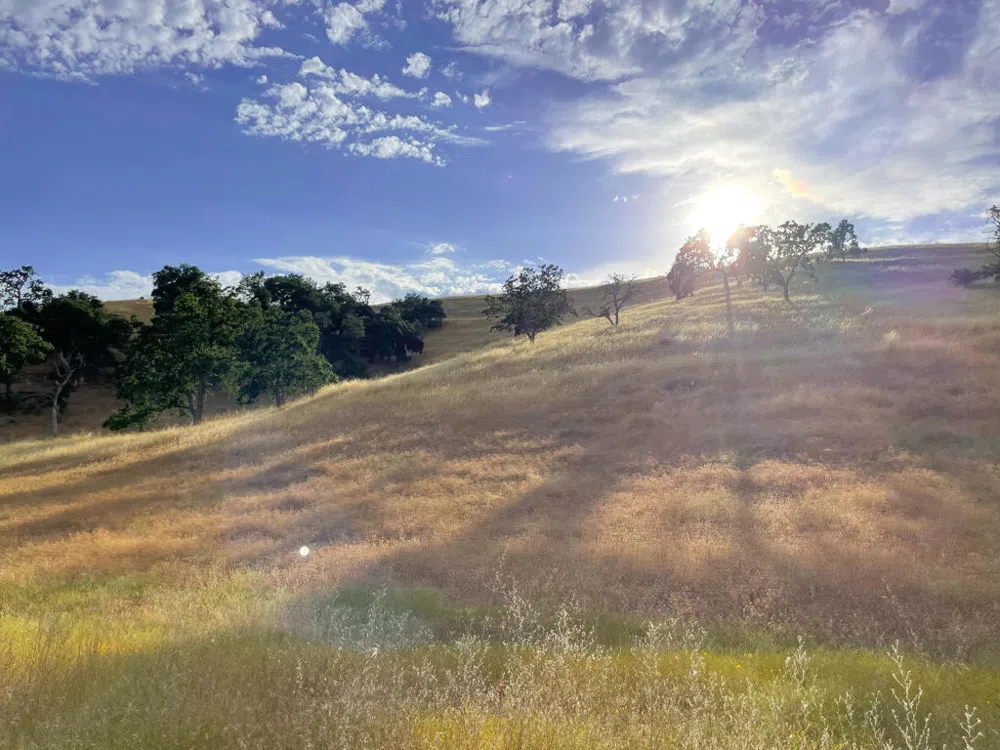 Hwy 41 Templeton, CA 93465