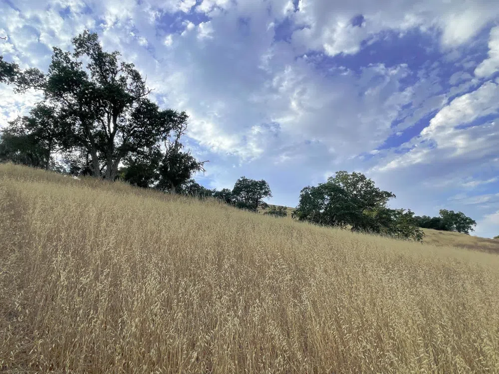 Hwy 41 Templeton, CA 93465