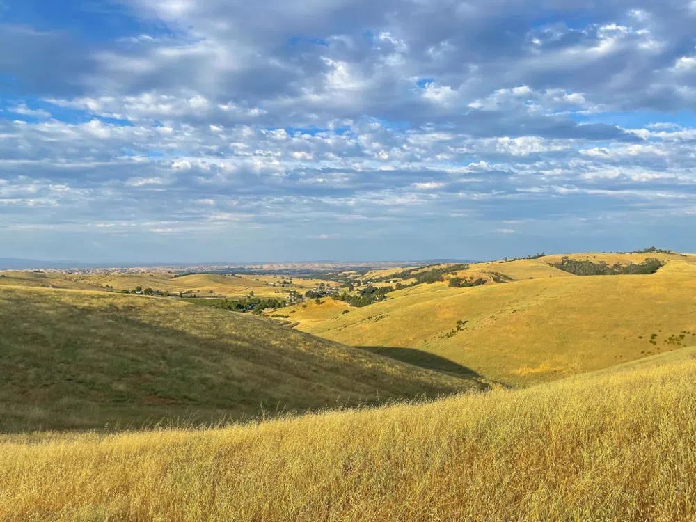 Hwy 41 Templeton, CA 93465