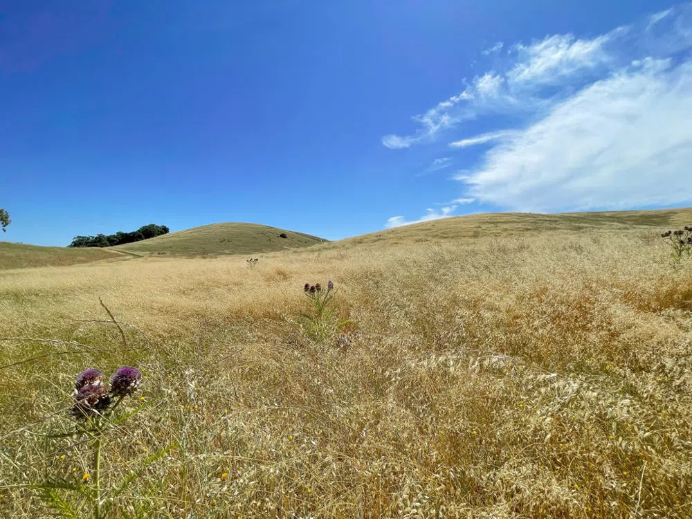 Hwy 41 Templeton, CA 93465