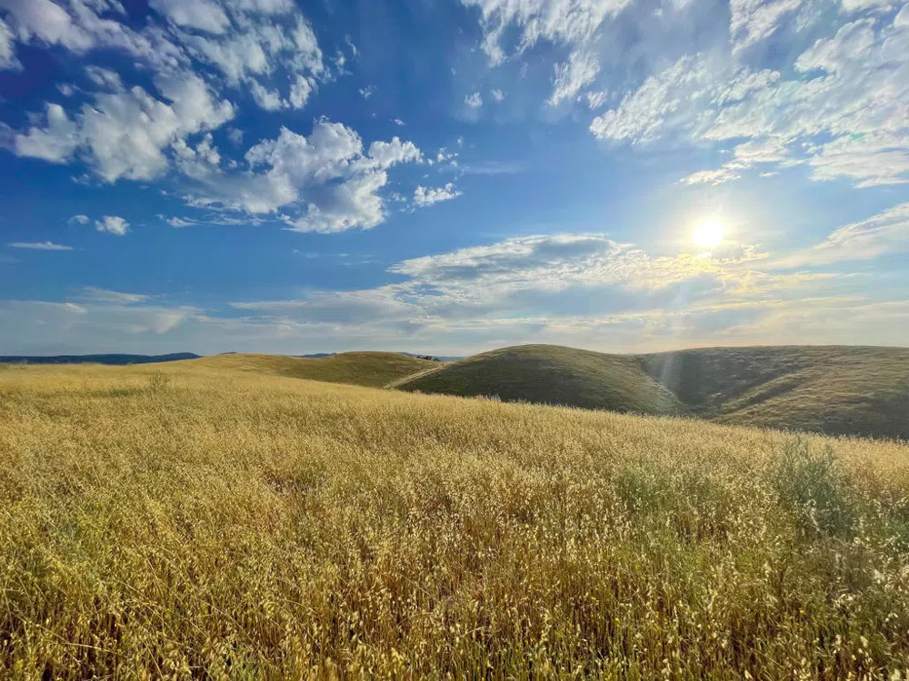 Hwy 41 Templeton, CA 93465