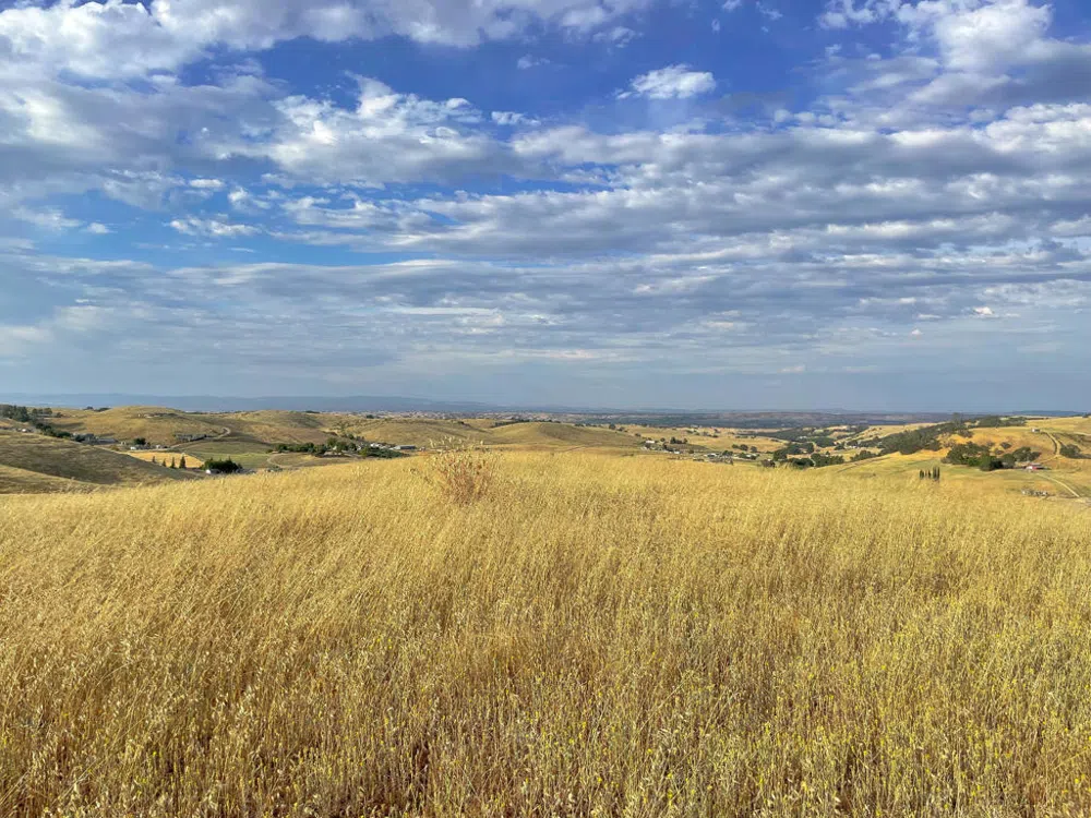 Hwy 41 Templeton, CA 93465