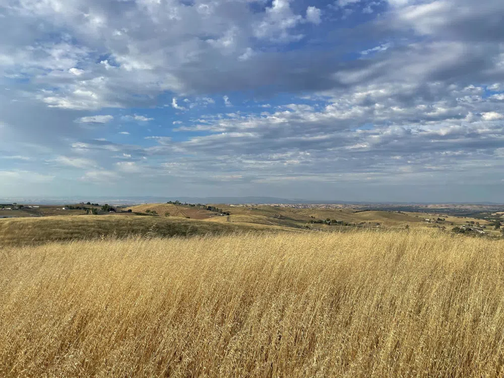 Hwy 41 Templeton, CA 93465