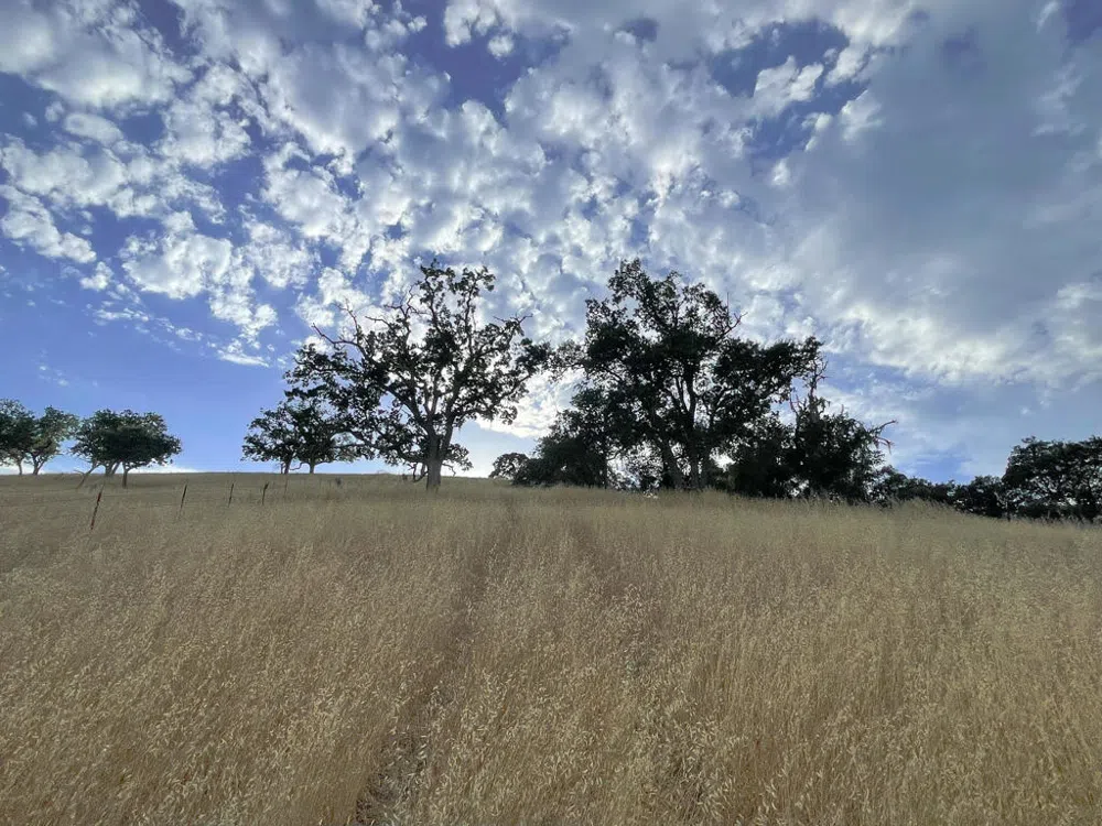 Hwy 41 Templeton, CA 93465