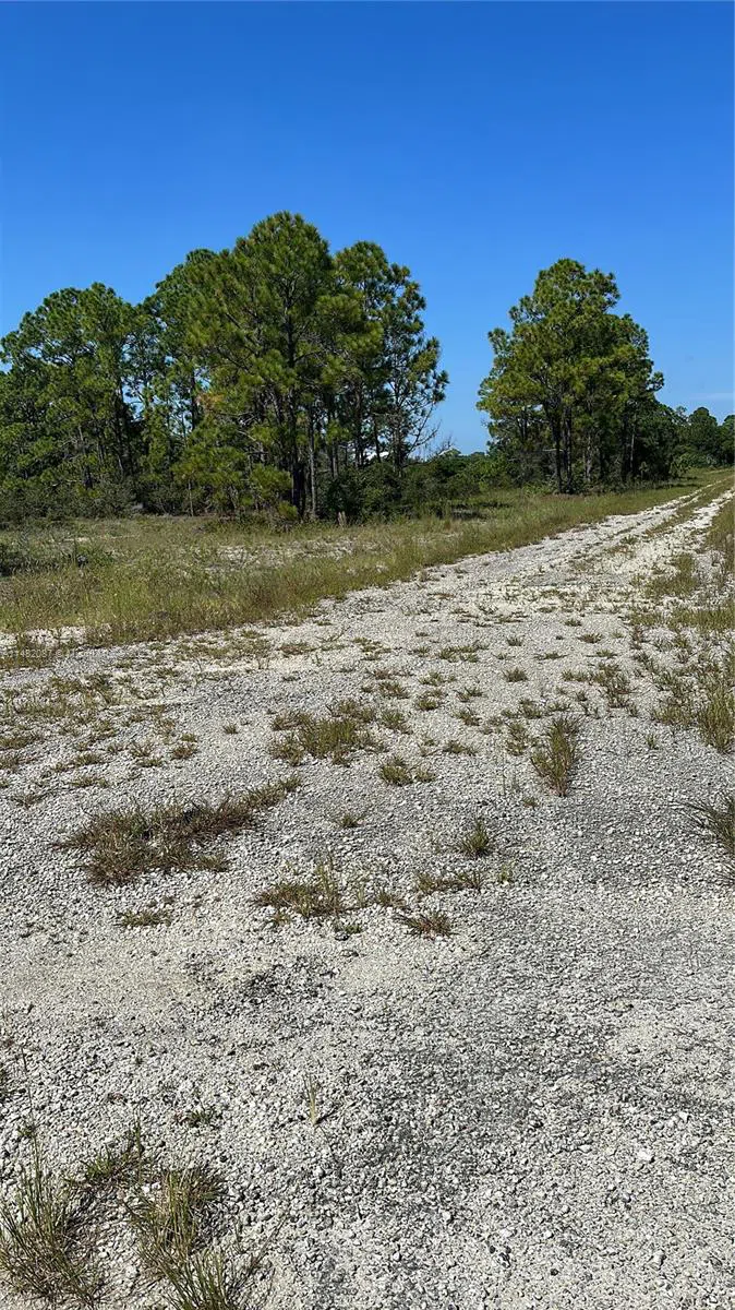 341 Moon River Ave Lake Placid, FL 33852