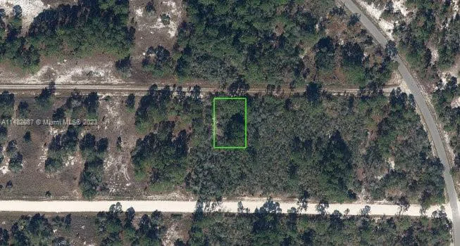 341 Moon River Ave Lake Placid, FL 33852