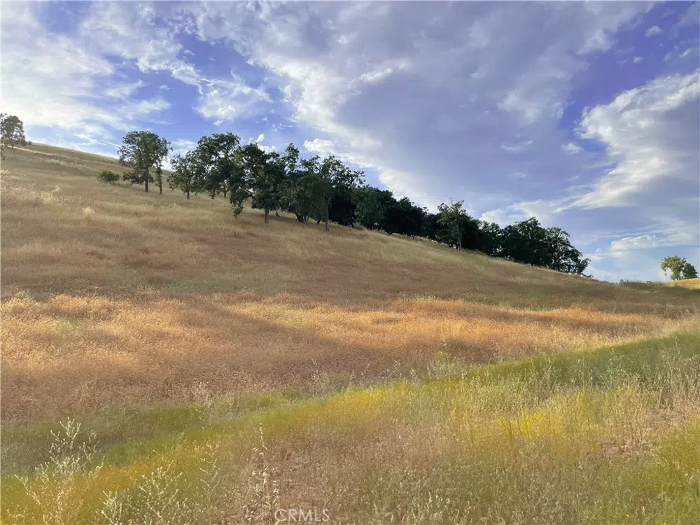 E Hwy 41 Templeton, CA 93465