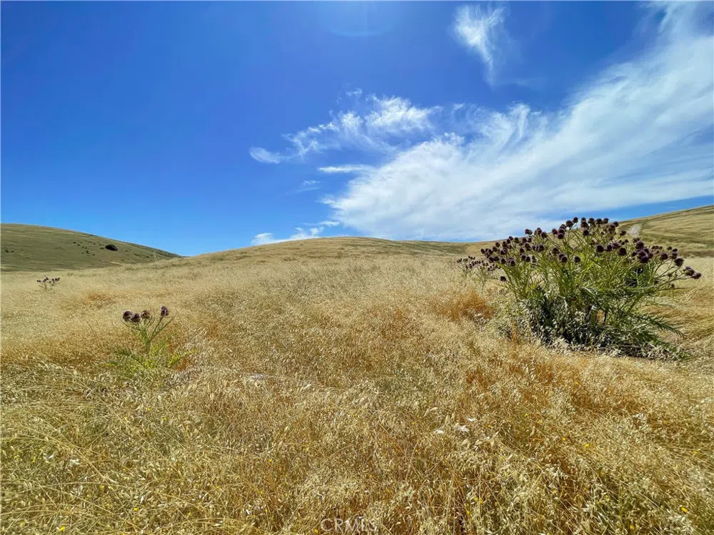 E Hwy 41 Templeton, CA 93465