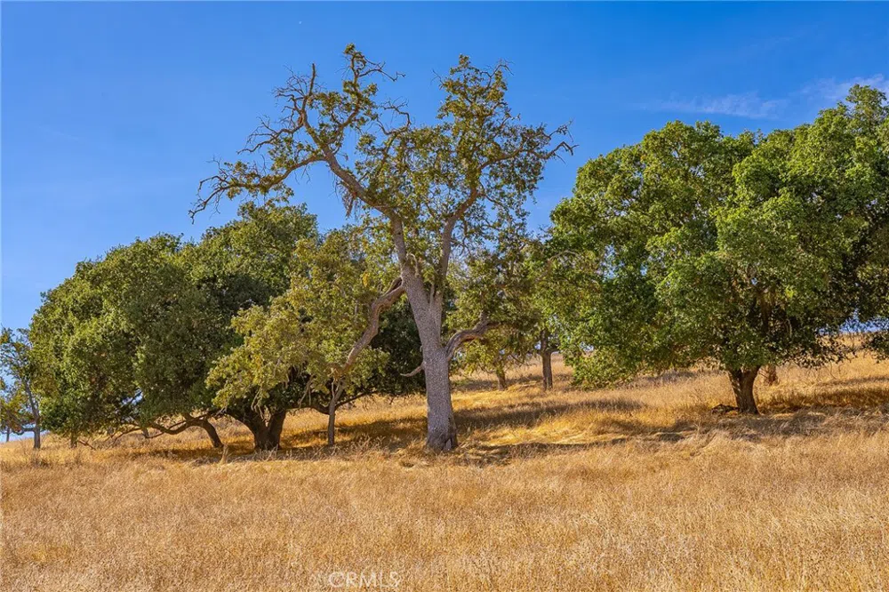 E Hwy 41 Templeton, CA 93465