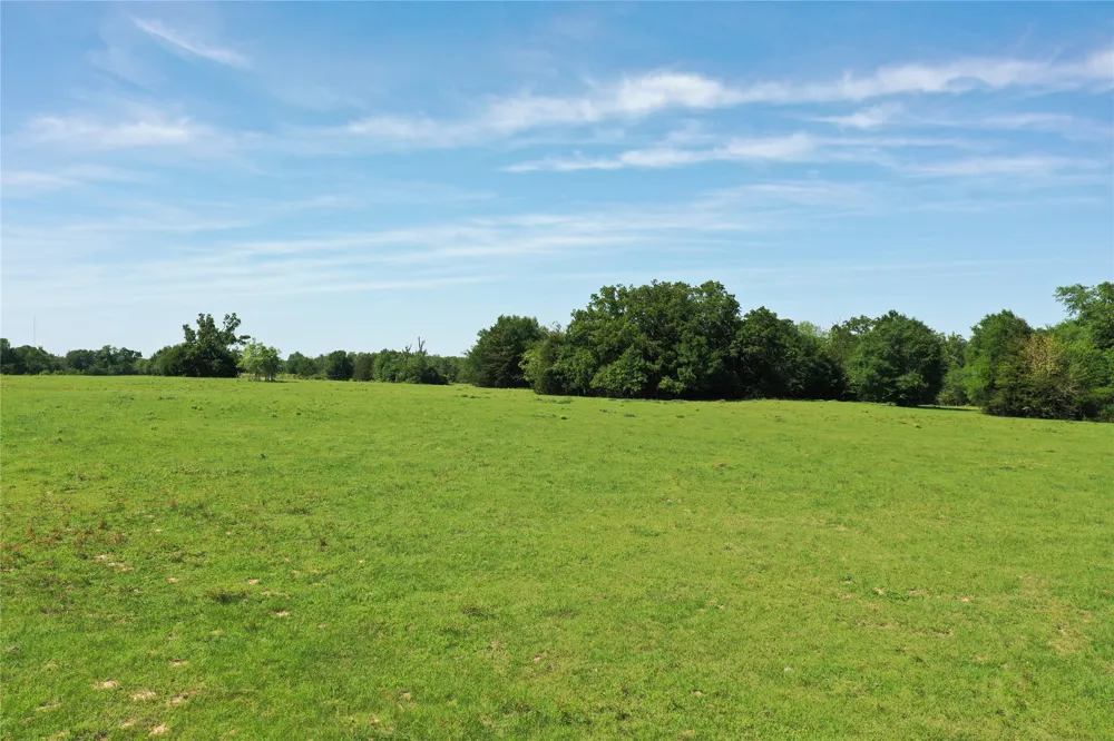 County Road 660 Teague, TX 75860