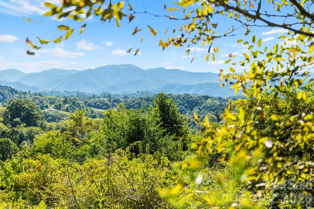 1231 Baileys Branch Road #3 Marshall, NC 28753