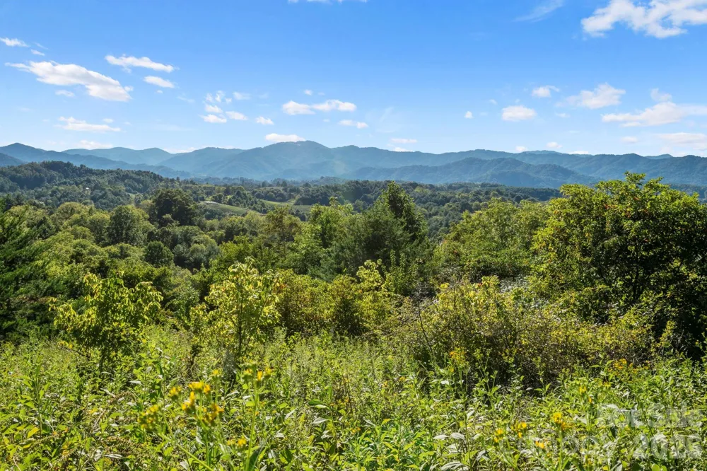 1231 Baileys Branch Road #3 Marshall, NC 28753