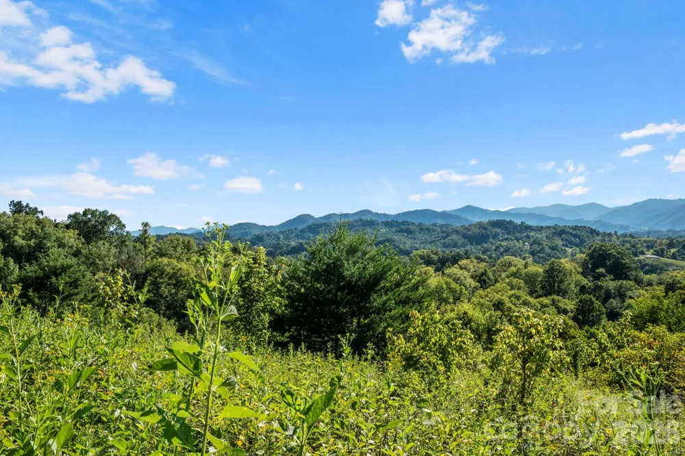 1231 Baileys Branch Road #3 Marshall, NC 28753