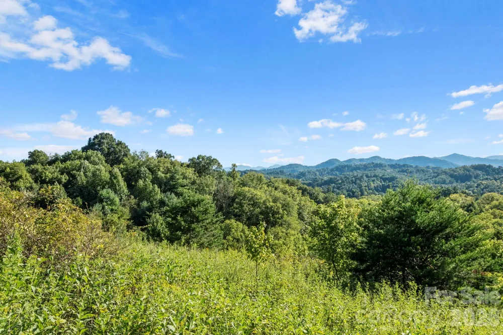 1231 Baileys Branch Road #3 Marshall, NC 28753