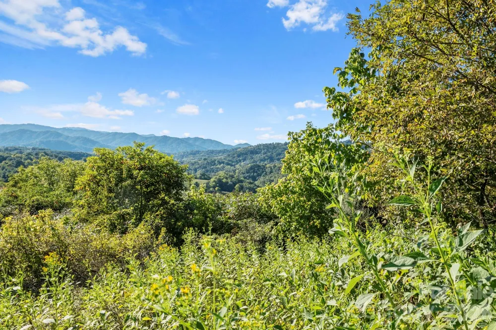 1231 Baileys Branch Road #3 Marshall, NC 28753